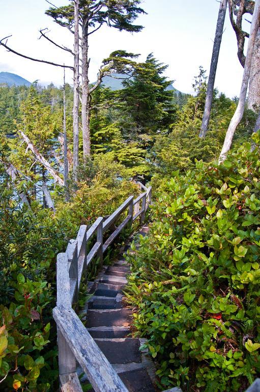 Wild Pacific Guest Suites Уклуелет Екстериор снимка